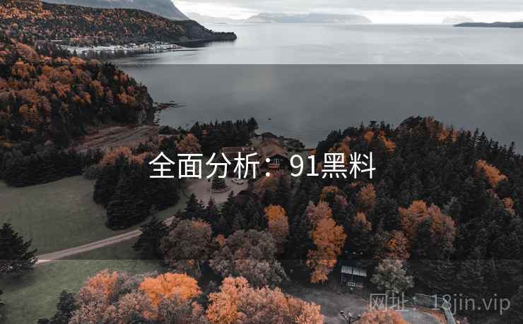 全面分析：91黑料  第2张
