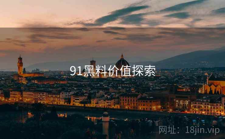 91黑料价值探索  第2张