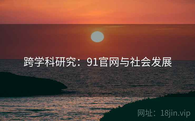 跨学科研究：91官网与社会发展  第1张
