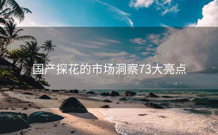 国产探花的市场洞察73大亮点  第2张