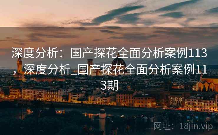 深度分析：国产探花全面分析案例113，深度分析_国产探花全面分析案例113期  第2张
