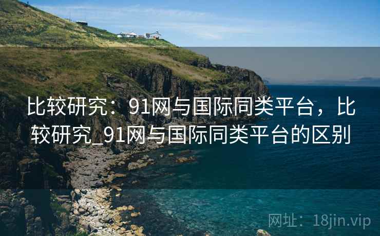 比较研究：91网与国际同类平台，比较研究_91网与国际同类平台的区别  第2张