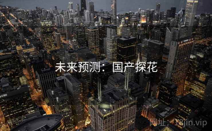 未来预测：国产探花  第1张