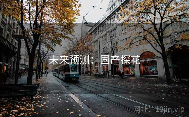 未来预测：国产探花  第2张