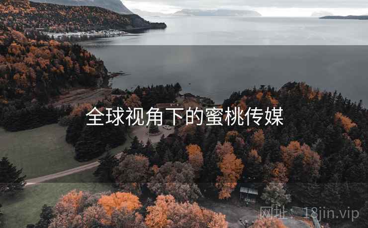 全球视角下的蜜桃传媒  第2张