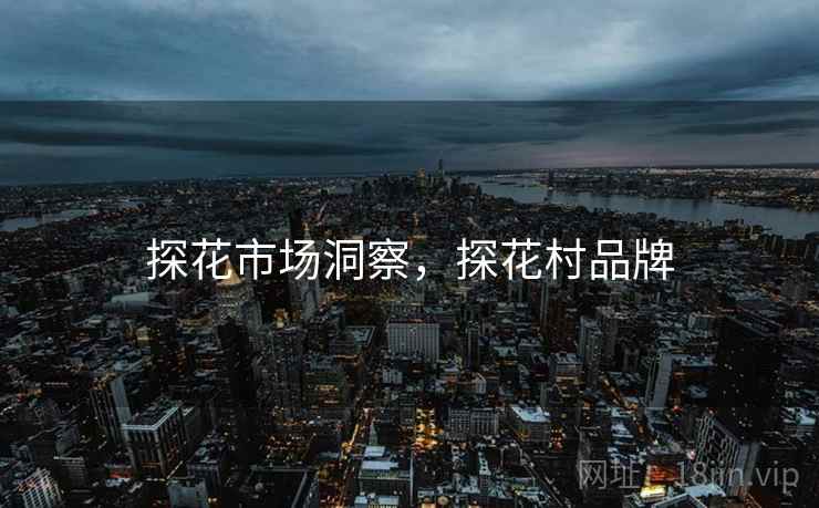 探花市场洞察，探花村品牌  第2张