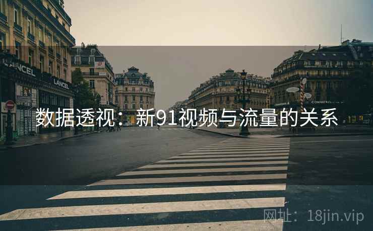 数据透视：新91视频与流量的关系  第2张