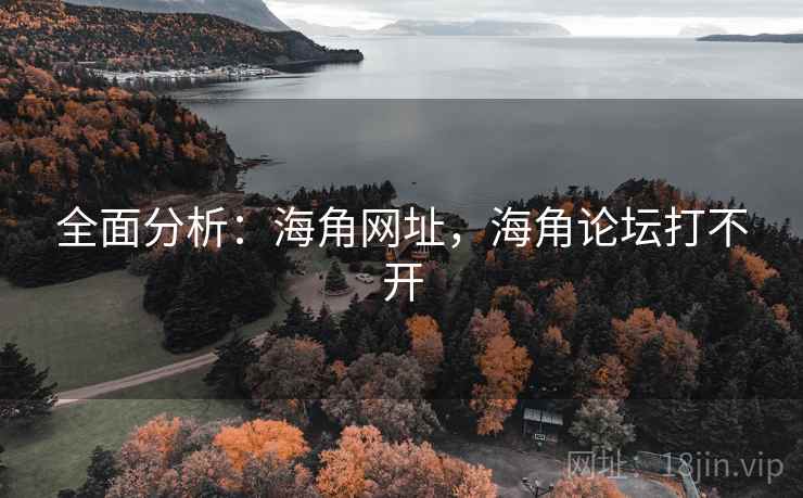 全面分析：海角网址，海角论坛打不开  第1张