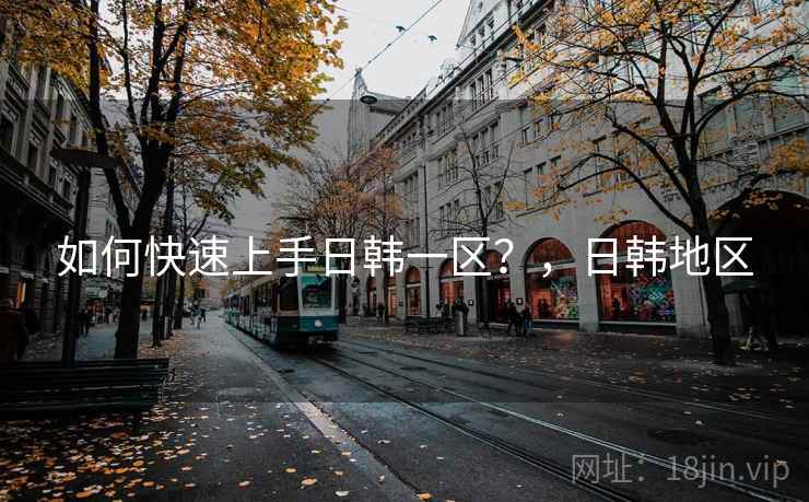 如何快速上手日韩一区？，日韩地区  第2张