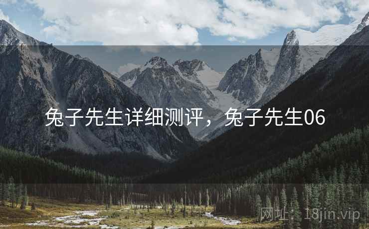 兔子先生详细测评，兔子先生06  第1张