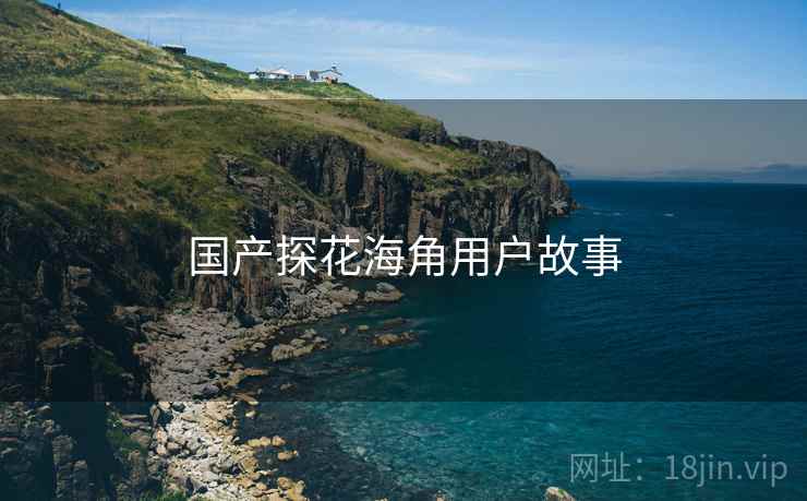 国产探花海角用户故事  第2张