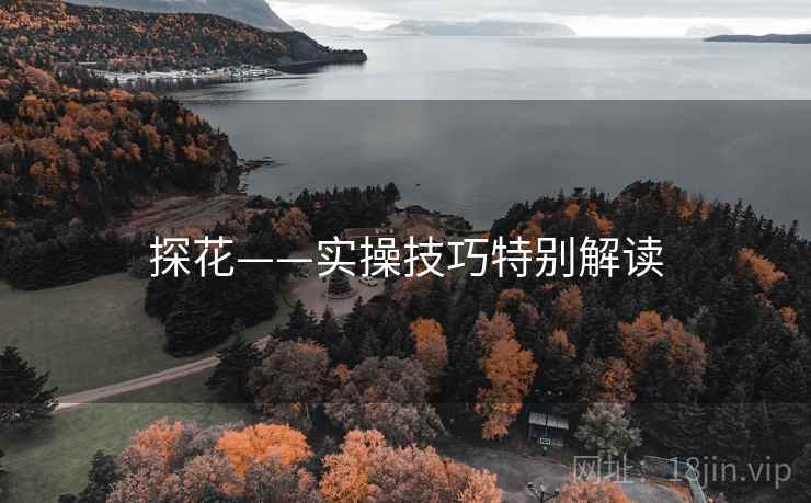探花——实操技巧特别解读  第2张