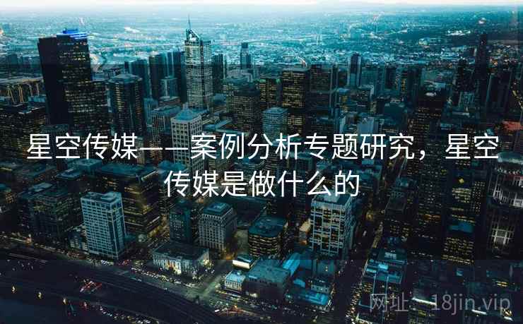 星空传媒——案例分析专题研究，星空传媒是做什么的  第2张