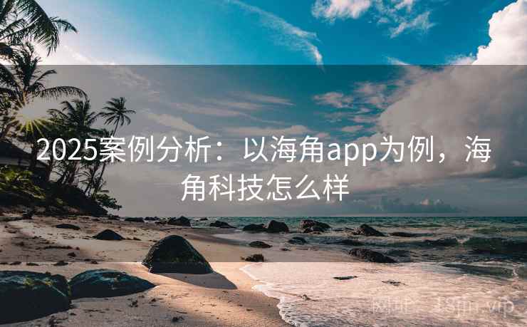 2025案例分析：以海角app为例，海角科技怎么样  第2张