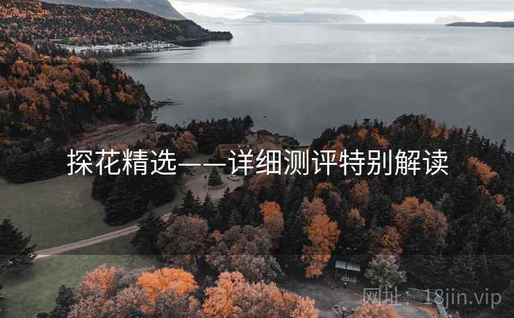 探花精选——详细测评特别解读  第2张