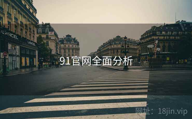 91官网全面分析  第2张