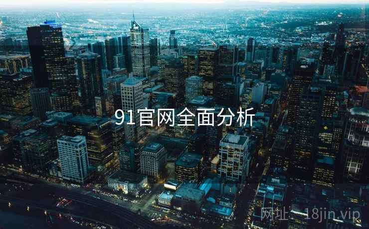91官网全面分析  第1张