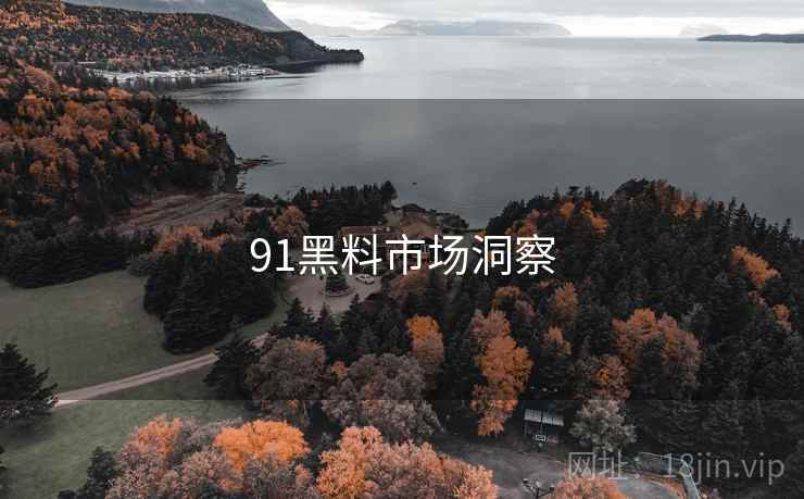 91黑料市场洞察  第2张