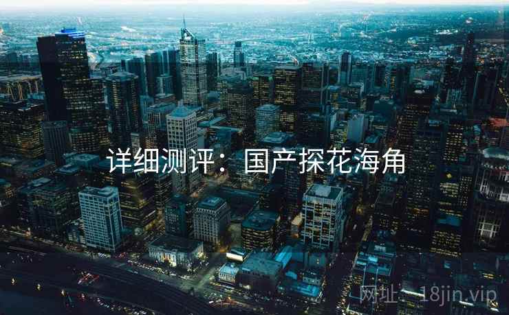 详细测评：国产探花海角  第2张