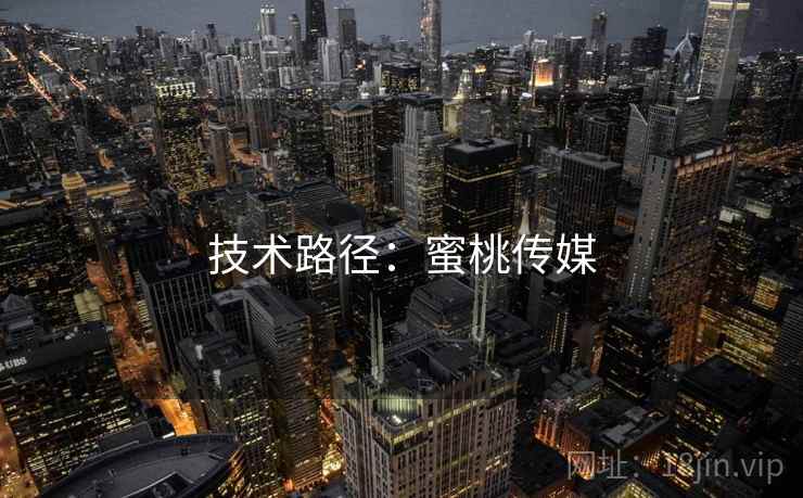 技术路径：蜜桃传媒  第1张