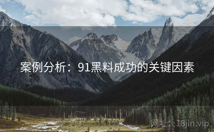 案例分析：91黑料成功的关键因素  第1张