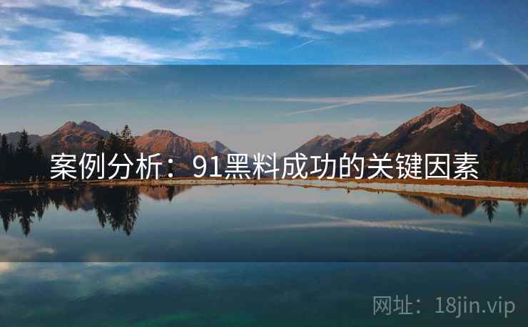 案例分析：91黑料成功的关键因素  第2张