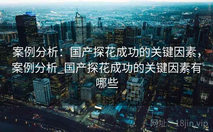 案例分析：国产探花成功的关键因素，案例分析_国产探花成功的关键因素有哪些  第1张