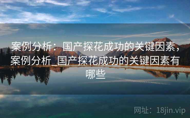 案例分析：国产探花成功的关键因素，案例分析_国产探花成功的关键因素有哪些  第2张