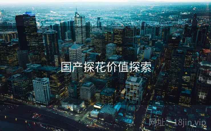 国产探花价值探索  第1张