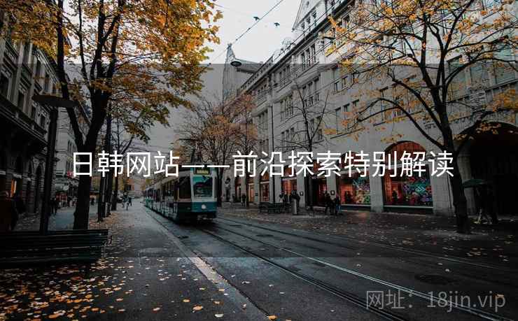 日韩网站——前沿探索特别解读  第1张