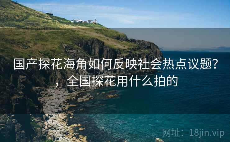 国产探花海角如何反映社会热点议题？，全国探花用什么拍的  第1张