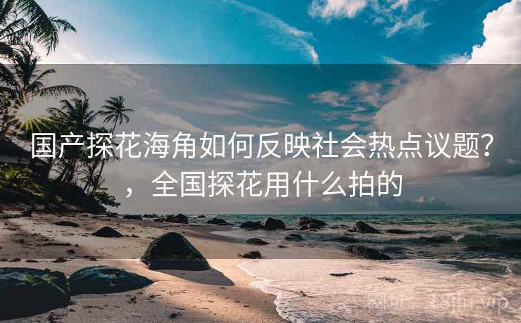 国产探花海角如何反映社会热点议题？，全国探花用什么拍的  第2张