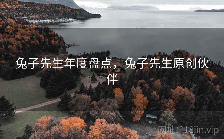 兔子先生年度盘点，兔子先生原创伙伴  第1张