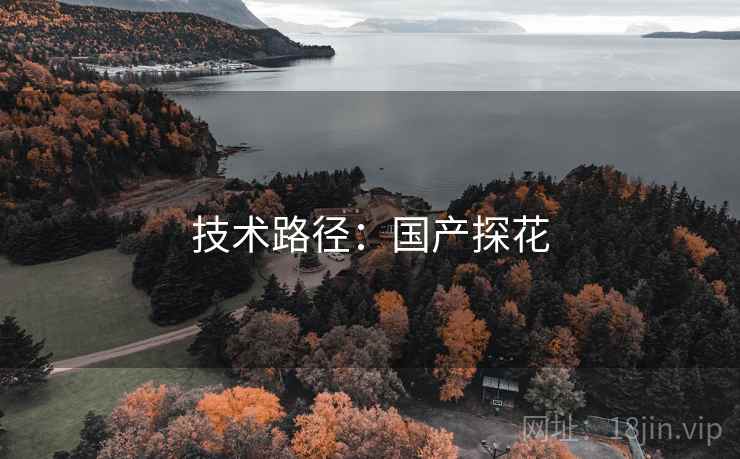 技术路径：国产探花  第1张