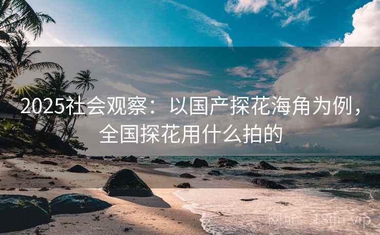 2025社会观察：以国产探花海角为例，全国探花用什么拍的  第1张