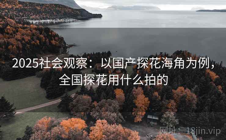 2025社会观察：以国产探花海角为例，全国探花用什么拍的  第2张