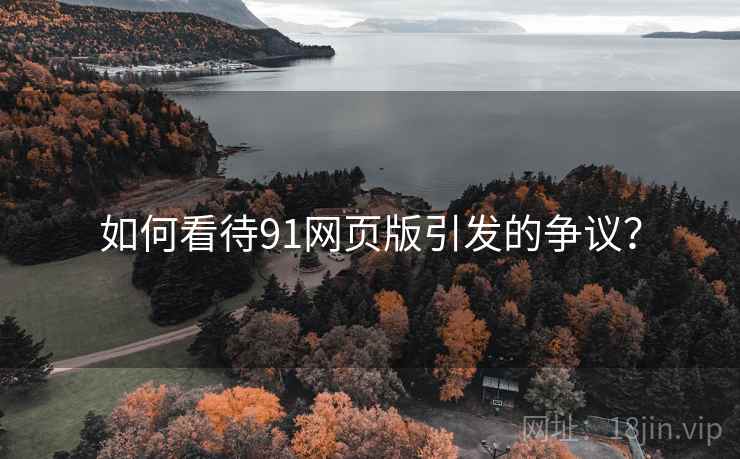 如何看待91网页版引发的争议？  第2张