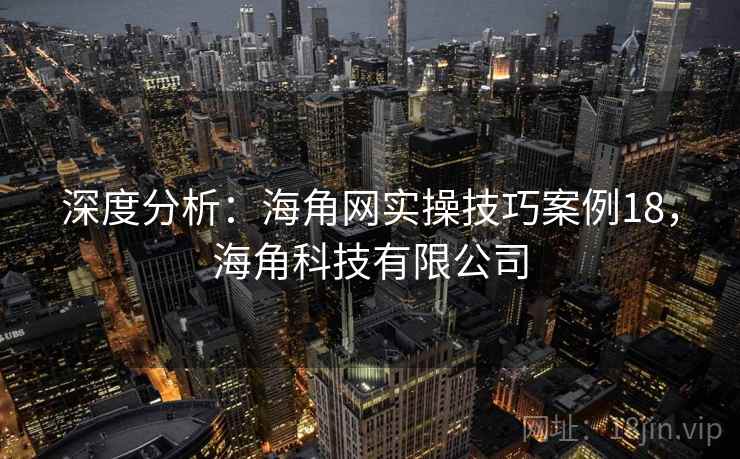 深度分析：海角网实操技巧案例18，海角科技有限公司  第2张