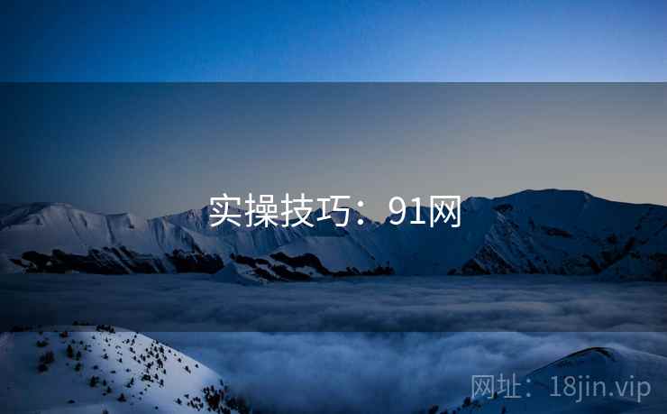 实操技巧：91网  第2张