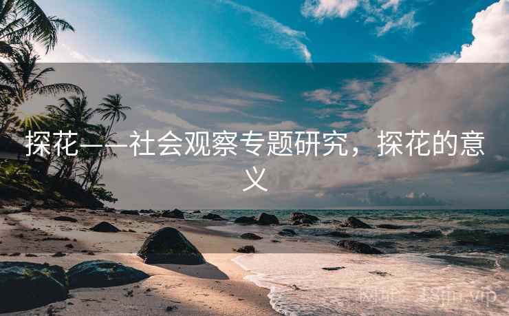 探花——社会观察专题研究，探花的意义  第1张