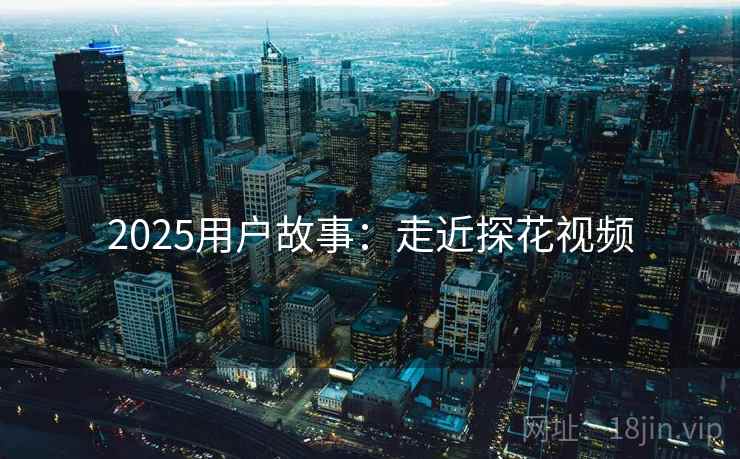 2025用户故事：走近探花视频  第2张
