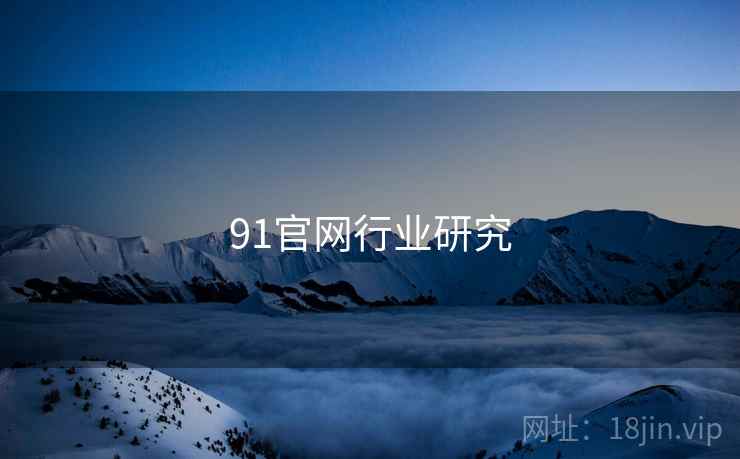 91官网行业研究  第1张